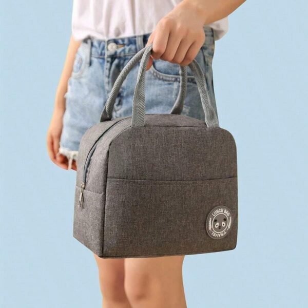 Stylish Matte Finish Insulated Lunch Bags - Image 2
