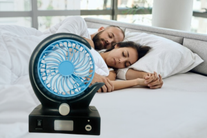 Smart Portable Fan